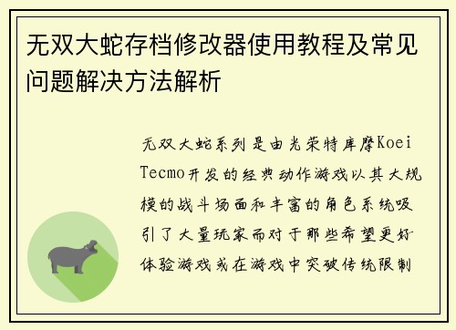无双大蛇存档修改器使用教程及常见问题解决方法解析